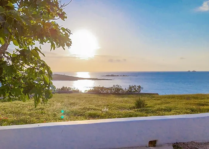 Ni&gio Sterna 6 Paro