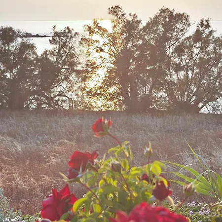 Ni&gio Sterna 6 Apartment