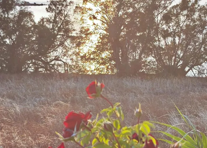 Ni&gio Sterna 6 Daire